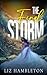 The Final Storm (The Storm Series)