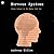 Nervous Systems: Brain Science in the Early Cold War