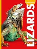 Curious About Lizards