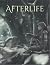 Afterlife
