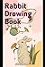 Rabbit drowing book