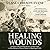Healing Wounds: A Vietnam W...