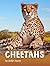 Cheetahs (Animals)