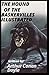 The Hound of the Baskervilles Illustrated