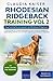 Rhodesian Ridgeback Training: Dog Training for your Rhodesian Ridgeback puppy