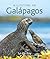 A Lifetime in Galapagos