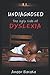 Undiagnosed: The Ugly Side of Dyslexia
