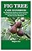 FIG TREE CARE HANDBOOK: The Beginners Guide on How to Grow,Care and Fertilize Fig Trees From Scratch in the Garden