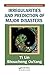 Irregularities and Prediction of Major Disasters (Systems Evaluation, Prediction, and Decision-Making)