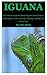 Iguana: The Ultimate Guide On Everything You Need To Know About Iguana Care, Housing, Handling, Feeding And Health Care