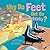 Why Do Feet Get So Stinky? (Why Do?)
