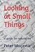 Looking at Small Things by Peter Macinnis