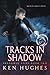 Tracks In Shadow (Shadowed Steps)