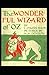 The Wonderful Wizard of Oz -Illustrated
