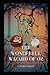 The Wonderful Wizard Of OZ: Illustrated Edition