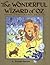 The Wonderful Wizard of Oz: by L. Frank Baum