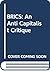 BRICS: An Anti Capitalist Critique