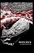 Moby Dick illustrated