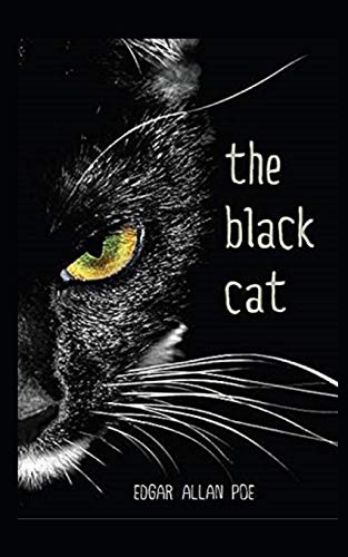 The Black Cat Illustrated