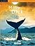 Moby Dick (Colección Kalafate nº 8) (Spanish Edition)