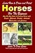 Learn How to Draw and Paint Horses for Beginners