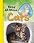 Read All About Cats (Read All About It)