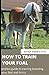 HOW TO TRAIN YOUR FOAL: COMPREHENSIVE GUIDE FOR BEGINNER TO MASTER THE ART OF TRAINING AND BREEDING A FOAL