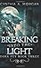 Breaking Into The Light: Pocket Book Edition (Dark Fey)