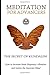 Meditation for Advancers: T...