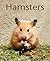 Hamsters