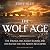 The Wolf Age: The Vikings, the Anglo-saxons and the Battle for the North Sea Empire