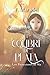 El Colibrí de Plata: (Los protectores de Sia. libro 1- juvenil) (Spanish Edition)
