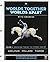 Worlds Together, Worlds Apart: A History of the World from the Beginnings of Humankind to the Present