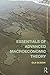 Essentials of Advanced Macroeconomic Theory (Routledge Advanced Texts in Economics and Finance)