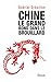 Chine. Le grand bond dans le brouillard (Essais - Documents) (French Edition)