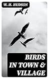 Birds in Town & V...