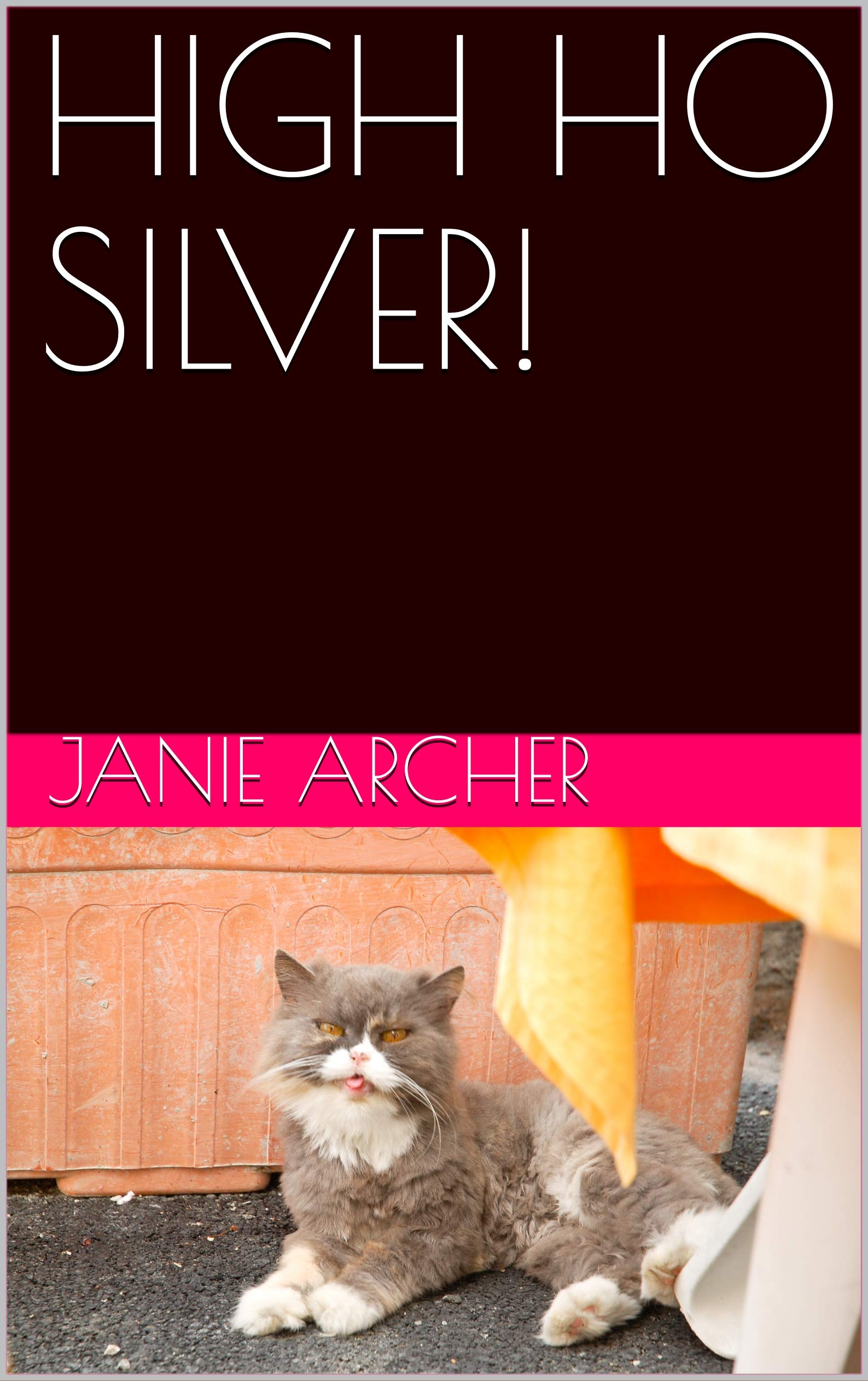 HIGH HO SILVER! (Kindle Edition)