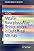 Metallic Amorphous Alloy Reinforcements in Light Metal Matrices (SpringerBriefs in Materials)