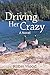 Driving Her Crazy: A Novel
