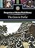 The Crisis in Darfur (Perspectives on Modern World History)