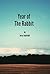 Year Of The Rabbit: A Collection Of Short Stories