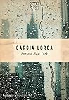 Poeta a New York