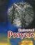 Universal Prayers