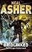 Gridlinked (Agent Cormac Book 1)