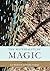 The Materiality of Magic: An artifactual investigation into ritual practices and popular beliefs