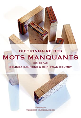 Dictionnaire des mots manquants (French Edition)