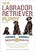 Your Labrador Retriever Puppy Month by Month, 2nd Edition: Everything You Need to Know at Each Stage of Development (Your Puppy Month by Month)