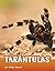 Tarántulas (Animals en espanol) (Spanish Edition)