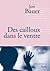 Des cailloux dans le ventre (La cosmopolite) (French Edition)