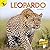 Leopard: Leopardo (Animales africanos)